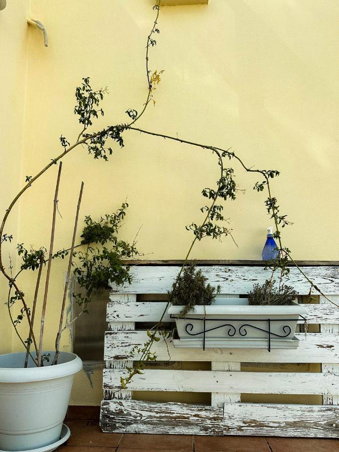 Beachnest Apartment Ayos Nikolaos Dış mekan fotoğraf